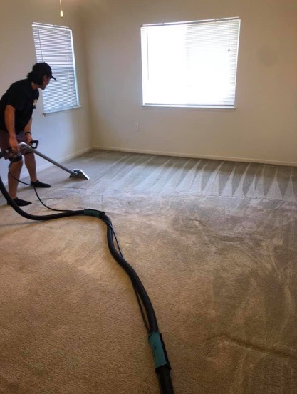 carpet cleaning aiea hi
