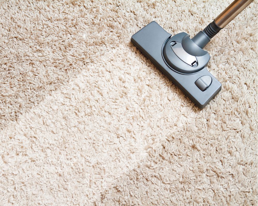 vacuum machine cleaning carpet kailua hi